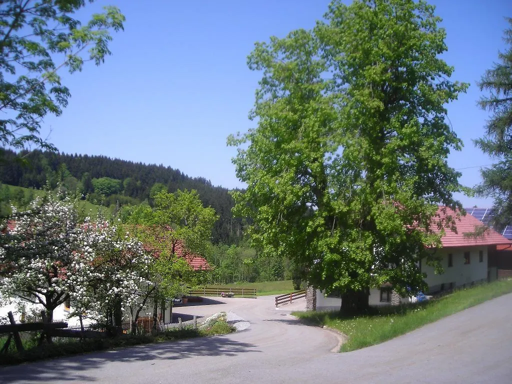 Apartment Ferienwohnung Lindenhof Sankt Englmar